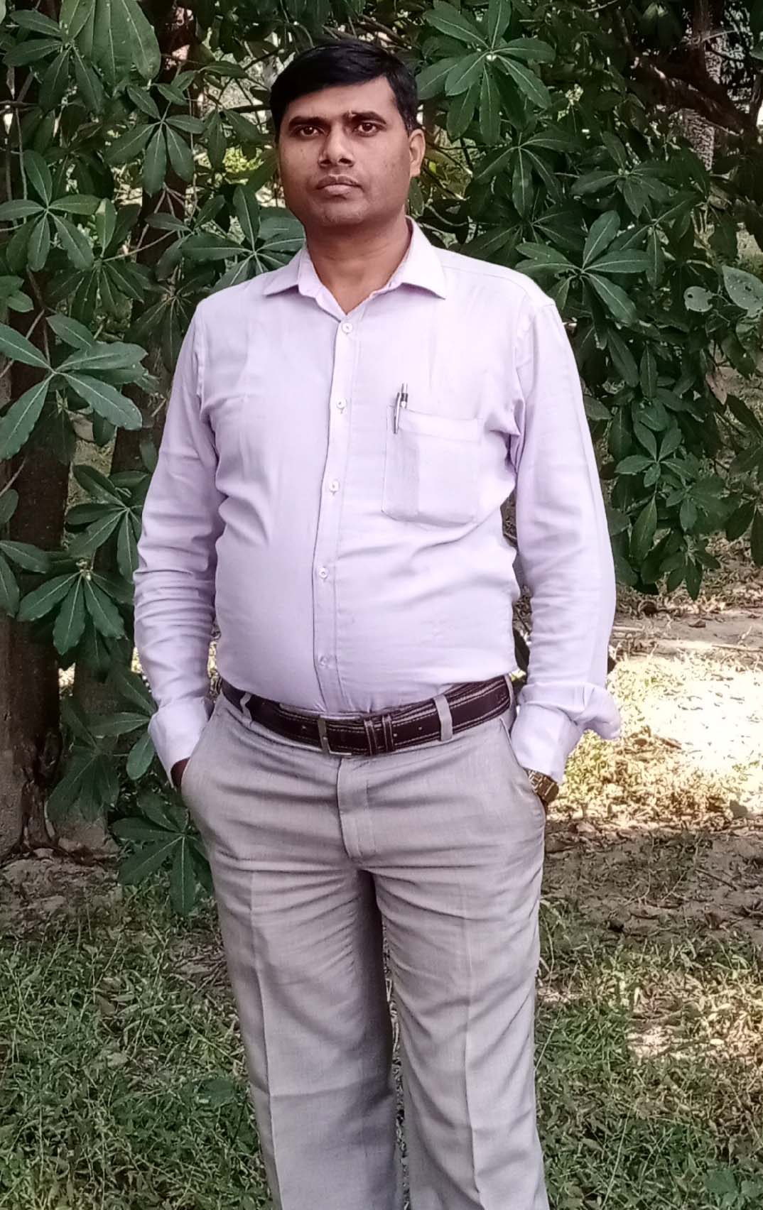 Author avatar
